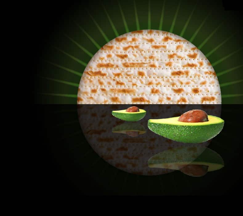אבוקדו